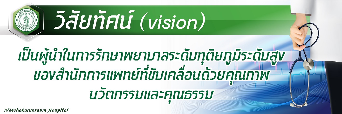 vision1